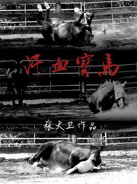 2015年12月上映的高分电影汇总,【必看推荐】建议收藏