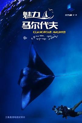 2014年6月播出的高分电视剧汇总,你追过哪部?