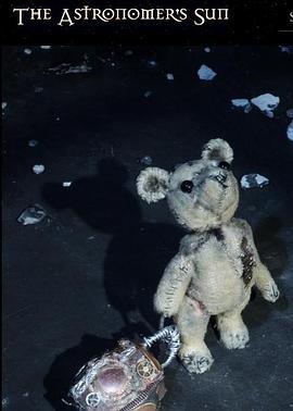 天文学家的太阳