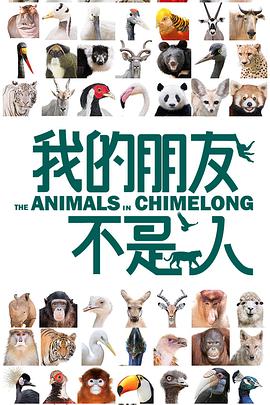 2017年12月上映的高分电影汇总,【必看推荐】建议收藏