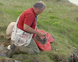 2015年5月上映的高分电影汇总,【必看推荐】建议收藏