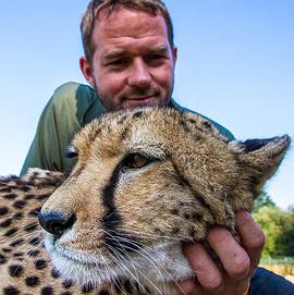 2018年3月播出的高分电视剧汇总,你追过哪部?