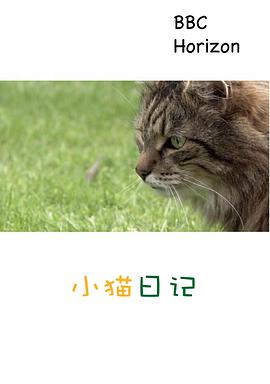 2013年6月上映的高分电影汇总,【必看推荐】建议收藏