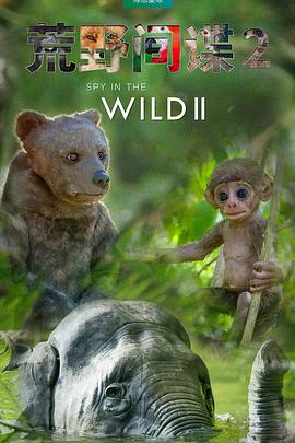 2020年1月上映的高分电影汇总,【必看推荐】建议收藏