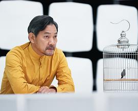 2022年10月播出的高分电视剧汇总,你追过哪部?