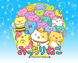 2018年1月播出的高分电视剧汇总,你追过哪部?