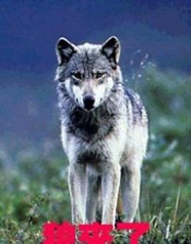 2010年4月上映的高分电影汇总,【必看推荐】建议收藏