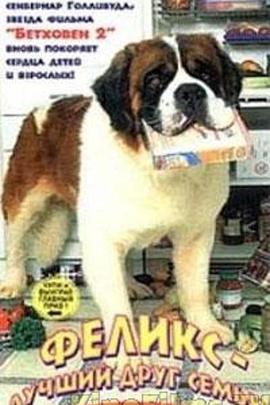 我们的朋友菲利克斯