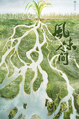 2022年11月播出的高分电视剧汇总,你追过哪部?