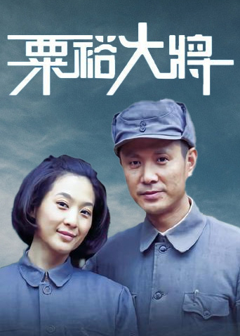 2012年11月播出的高分电视剧汇总,你追过哪部?