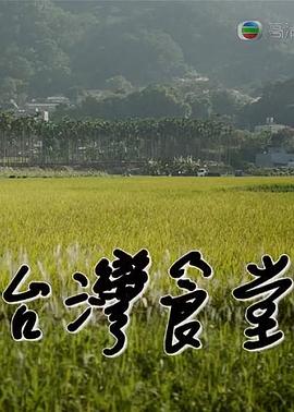 2015年1月播出的高分电视剧汇总,你追过哪部?