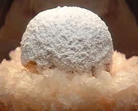 2010年4月播出的高分电视剧汇总,你追过哪部?