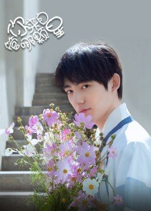 2021年11月播出的高分电视剧汇总,你追过哪部?