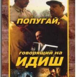 会说意第绪语的鹦鹉