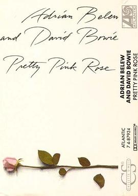 Adrian Belew & David Bowie: Pretty Pink Rose