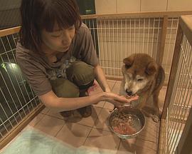 2016年4月上映的高分电影汇总,【必看推荐】建议收藏