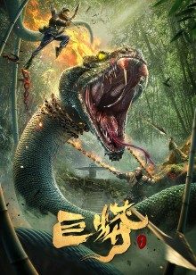 2021年12月上映的高分电影汇总,【必看推荐】建议收藏