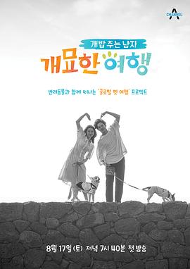 2019年8月播出的高分电视剧汇总,你追过哪部?