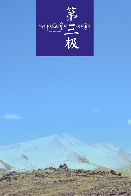 2015年3月上映的高分电影汇总,【必看推荐】建议收藏