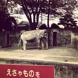 2016年2月上映的高分电影汇总,【必看推荐】建议收藏