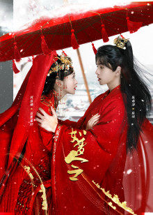 2021年2月播出的高分电视剧汇总,你追过哪部?