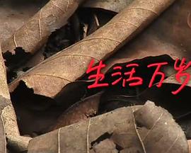 2010年7月上映的高分电影汇总,【必看推荐】建议收藏