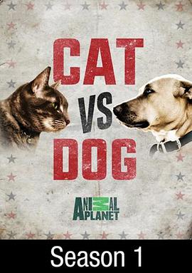 2017年11月上映的高分电影汇总,【必看推荐】建议收藏