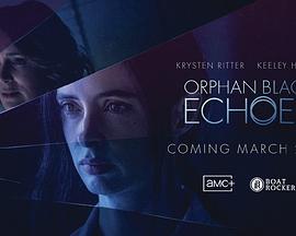 2023年11月播出的高分电视剧汇总,你追过哪部?