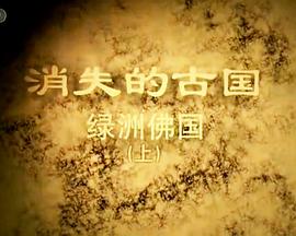 2014年1月播出的高分电视剧汇总,你追过哪部?