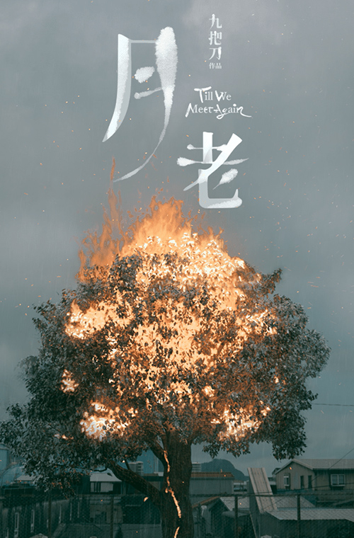 2021年11月上映的高分电影汇总,【必看推荐】建议收藏