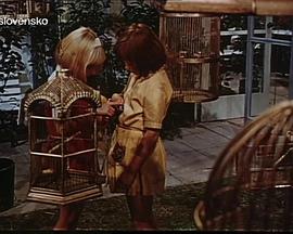 Kdyz má svátek Dominika