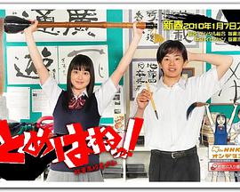 2010年1月播出的高分电视剧汇总,你追过哪部?