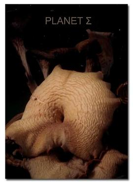 2015年2月播出的高分电视剧汇总,你追过哪部?