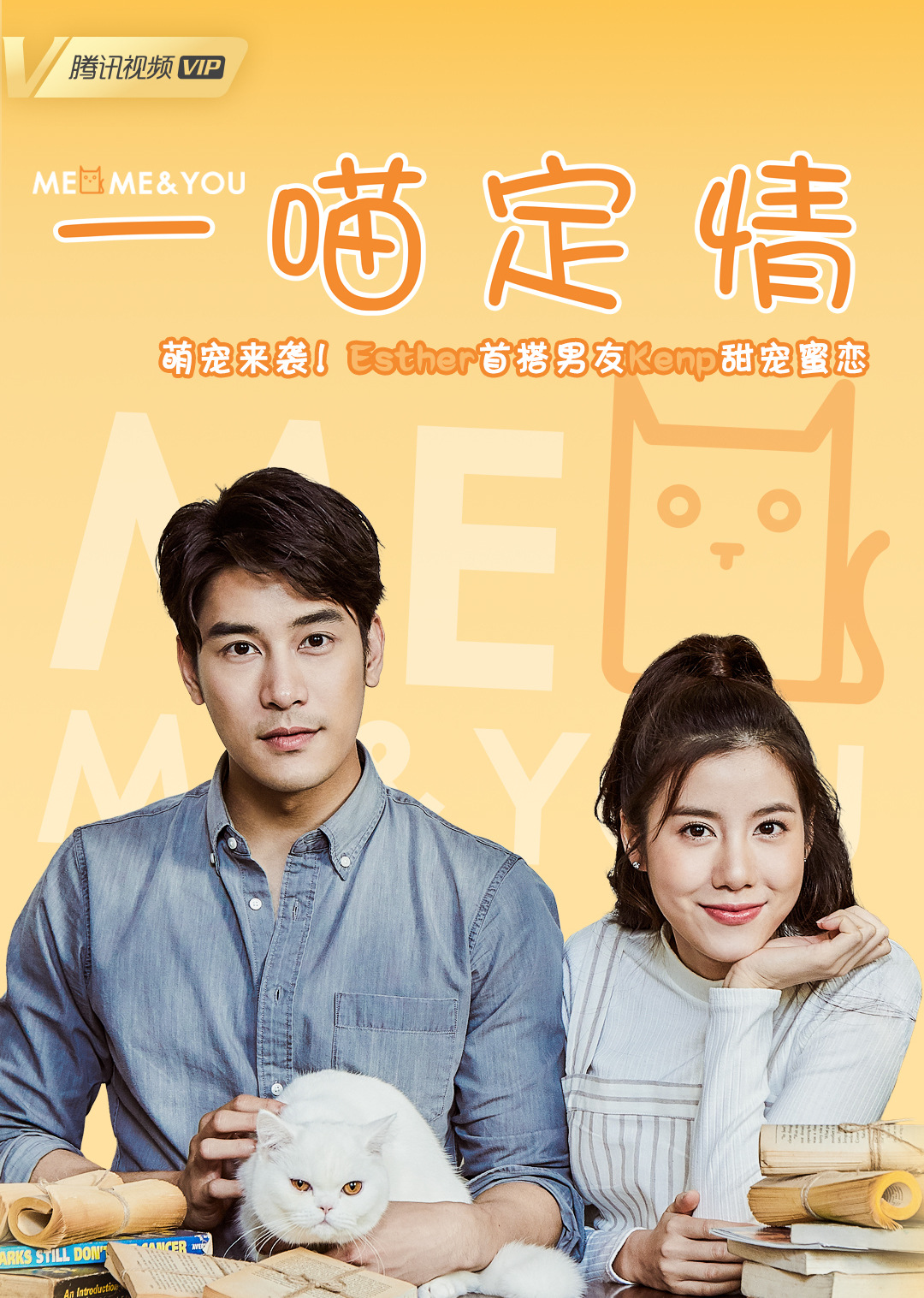 2018年10月播出的高分电视剧汇总,你追过哪部?