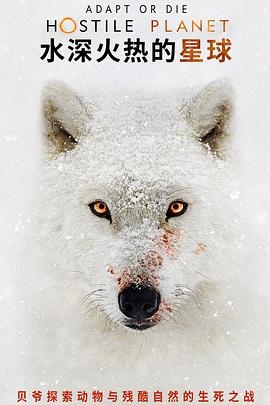 2019年4月上映的高分电影汇总,【必看推荐】建议收藏