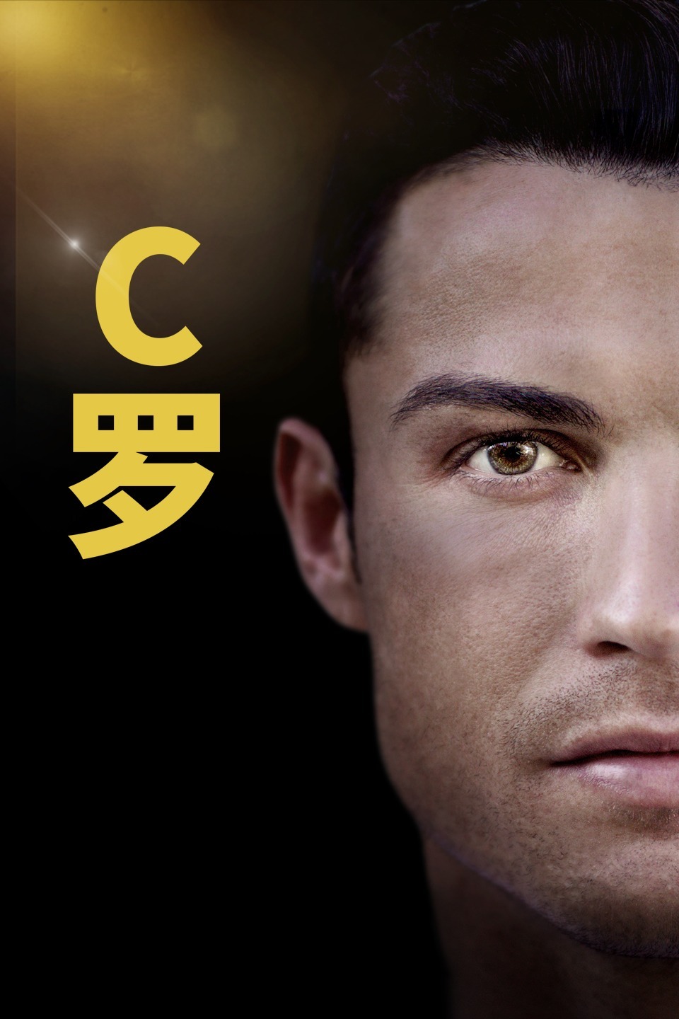 2015年11月上映的高分电影汇总,【必看推荐】建议收藏