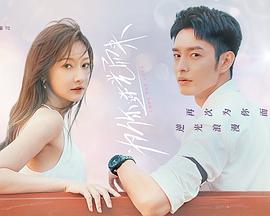 2023年4月播出的高分电视剧汇总,你追过哪部?