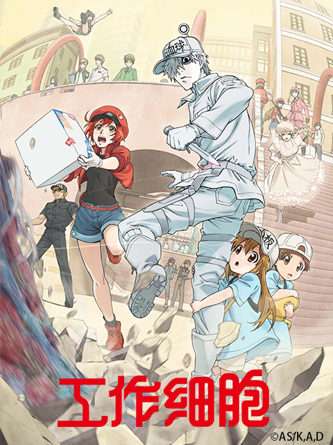 2018年7月上映的高分动漫汇总,有没有你心里的高分动漫