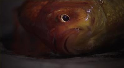 2012年7月上映的高分电影汇总,【必看推荐】建议收藏