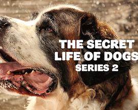 2017年2月上映的高分电影汇总,【必看推荐】建议收藏