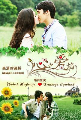 2010年11月播出的高分电视剧汇总,你追过哪部?