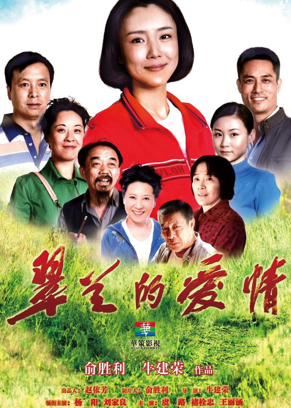 2014年6月播出的高分电视剧汇总,你追过哪部?