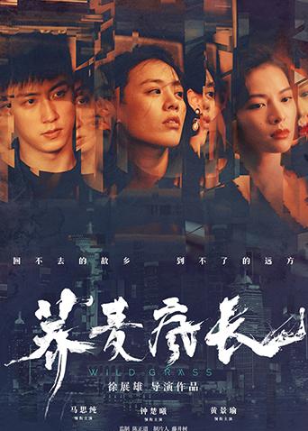 2020年8月上映的高分电影汇总,【必看推荐】建议收藏