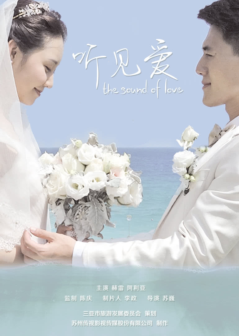 2015年12月播出的高分电视剧汇总,你追过哪部?