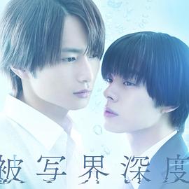 2025年6月播出的高分电视剧汇总,你追过哪部?