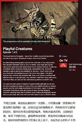 2015年1月播出的高分电视剧汇总,你追过哪部?