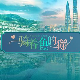 2023年2月播出的高分电视剧汇总,你追过哪部?