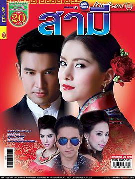 2013年11月播出的高分电视剧汇总,你追过哪部?