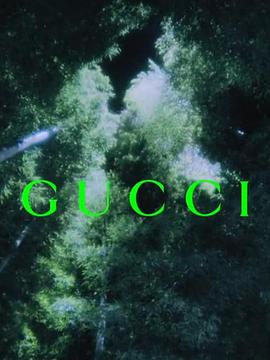 2022年8月播出的高分电视剧汇总,你追过哪部?