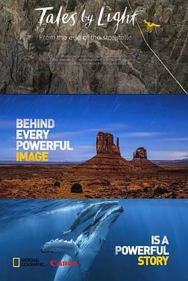 2015年5月播出的高分电视剧汇总,你追过哪部?